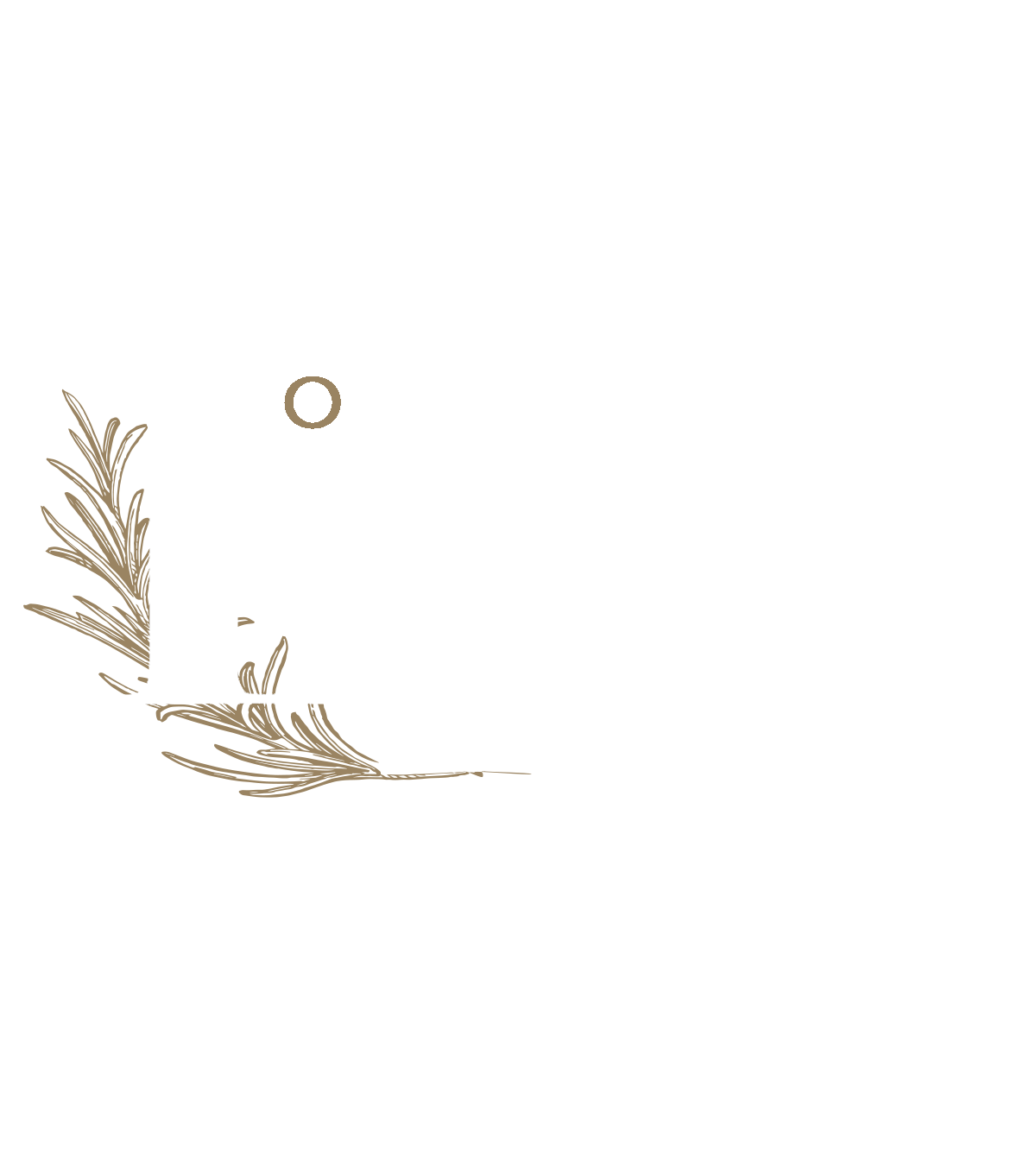 The Loft Bellingham Restaurant logo